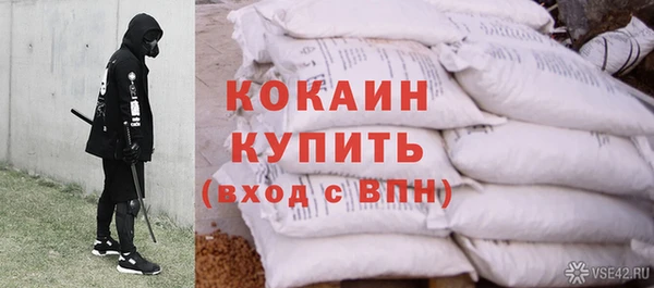 стаф Аркадак
