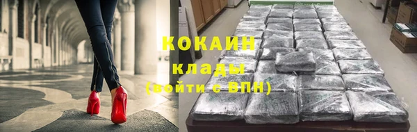 стаф Аркадак
