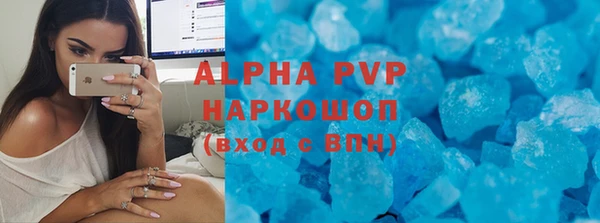 стаф Аркадак