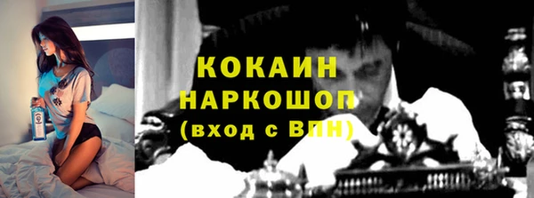 тгк Алексин