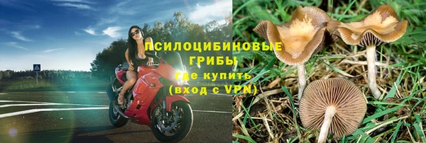 тгк Алексин