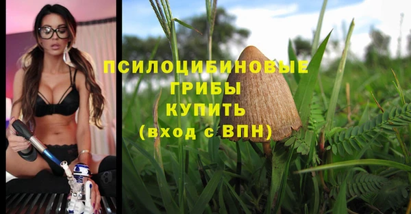 ECSTASY Алексеевка