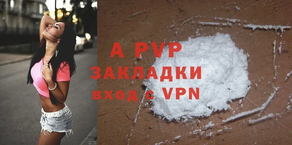 стаф Аркадак