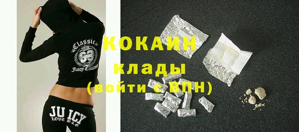 тгк Алексин