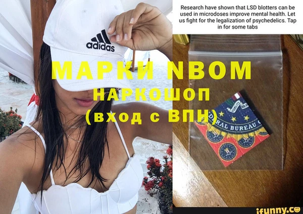 стафф Покачи