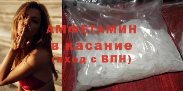 стаф Аркадак